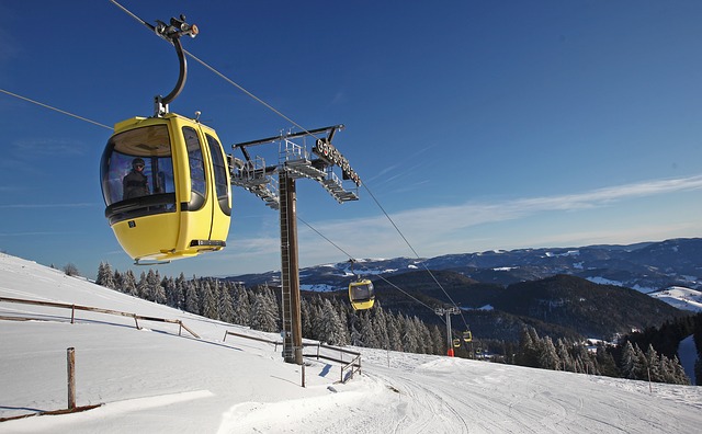 grouse mountain