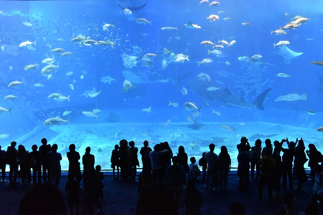 aquarium_canada