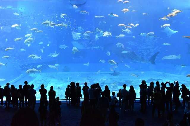 aquarium Canada
