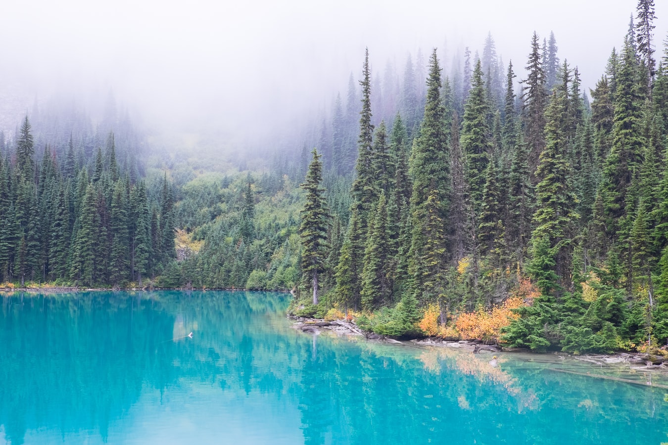 Canadian visa for Brunei Darussalam citizens