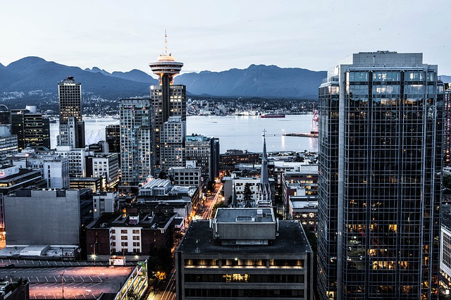 Canada Business Visa, Application Form