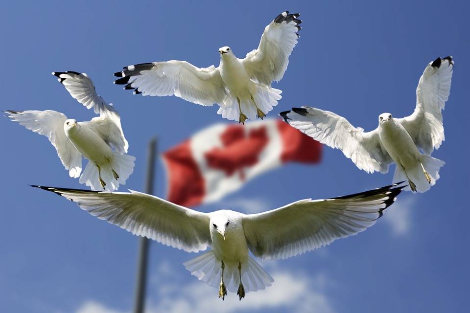 How long can American stay in Canada?